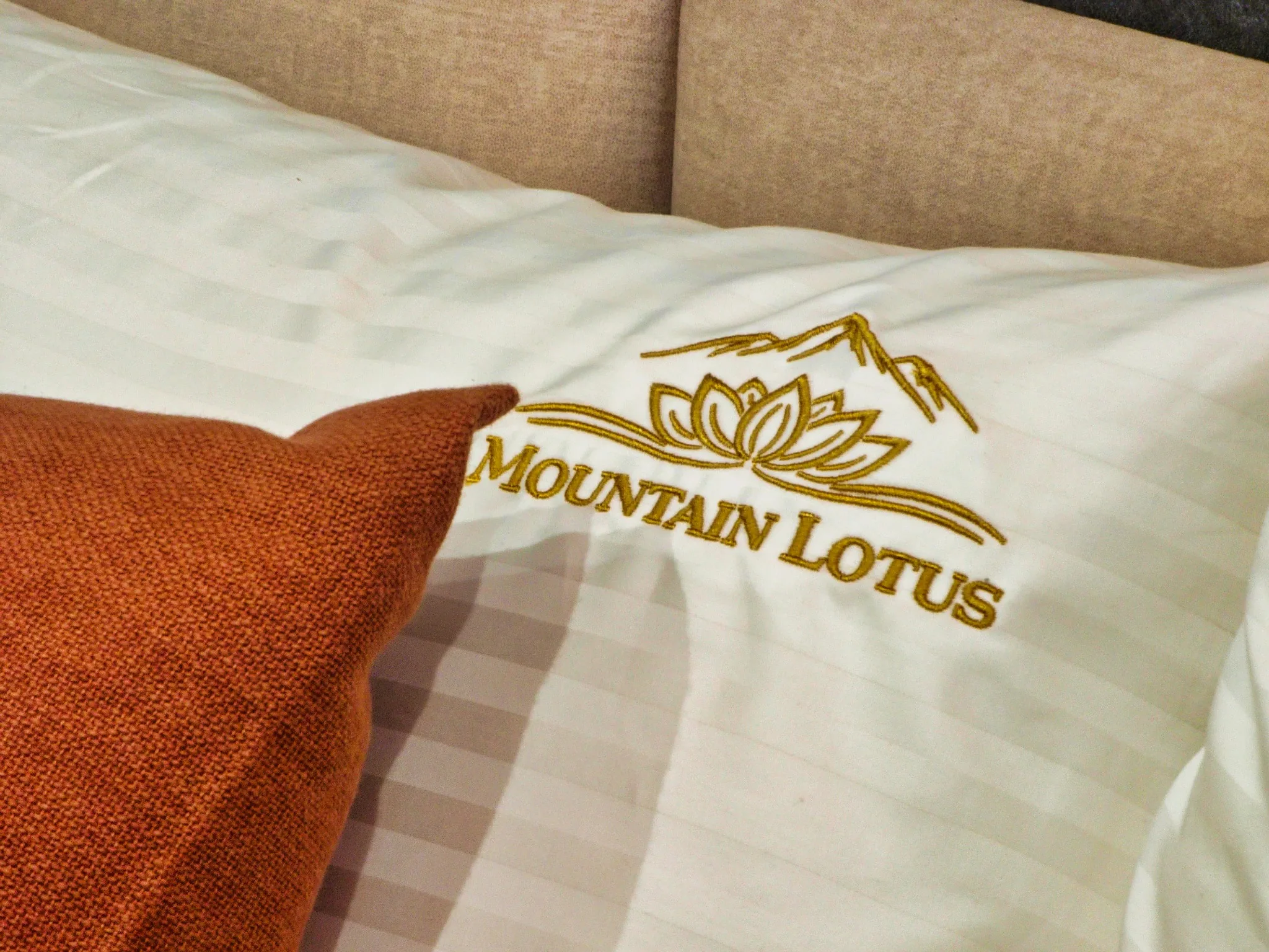 Detal wnętrza apartamentu Mountain Lotus Zakopane